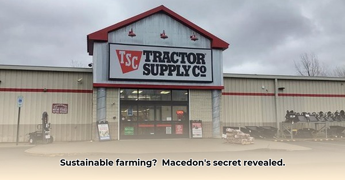 tractor-supply-macedon-ny